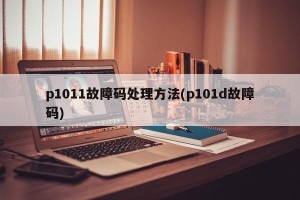 p1011故障码处理方法(p101d故障码)