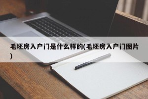 毛坯房入户门是什么样的(毛坯房入户门图片)