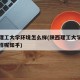 陕西理工大学环境怎么样(陕西理工大学环境怎么样呢知乎)